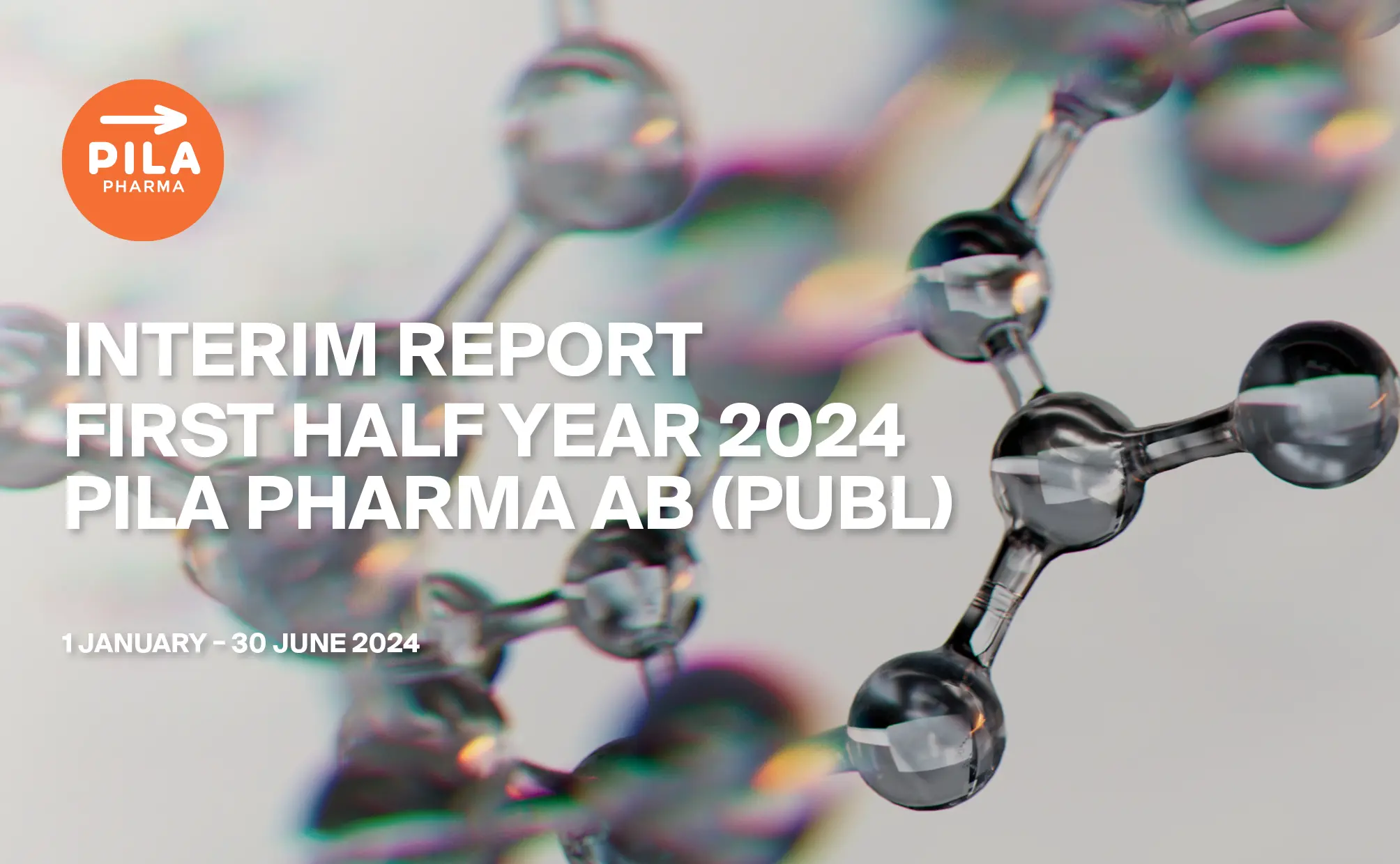 Interim Report First Half Year 2024